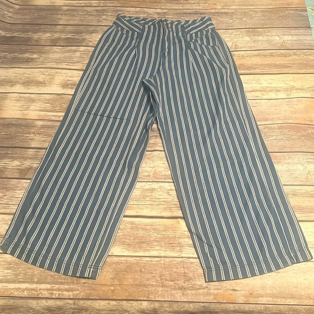 American Eagle Blue and White Striped Pants. Size 4 - Picture 1 of 4